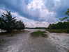 zz.eazoning Altpins Profile Picture