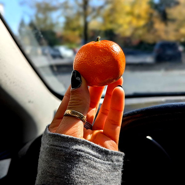 zz.eazoning instagram image archive image