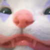 zz.eazoning Altpins Profile Picture