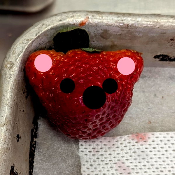 zz.eazoning instagram image archive image