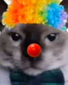 zz.eazoning Altpins Profile Picture