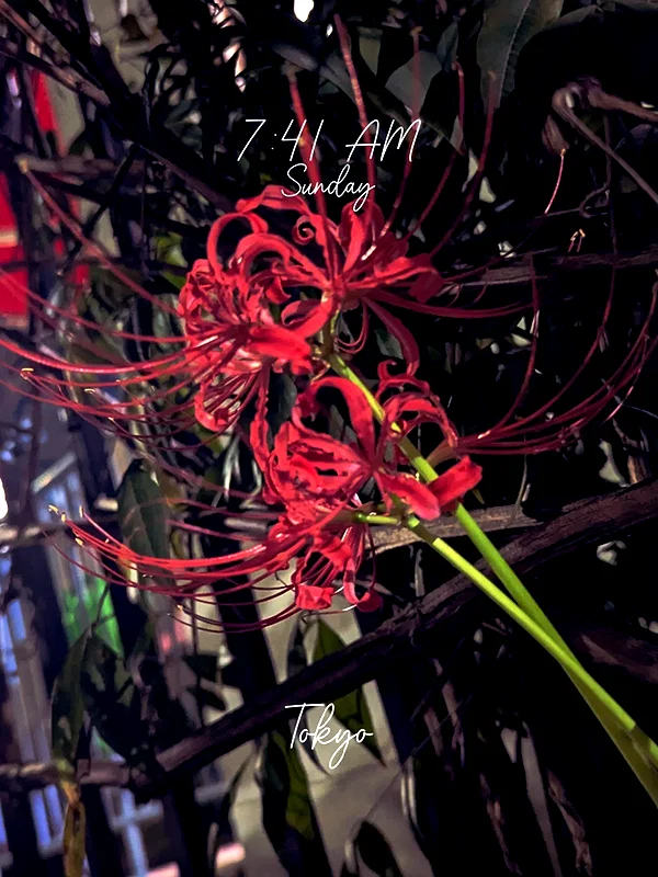 zz.eazoning instagram image archive image