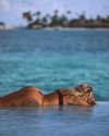 007natalee Altpins Profile Picture