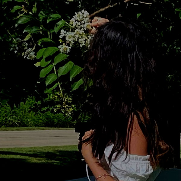 333eac instagram image archive image