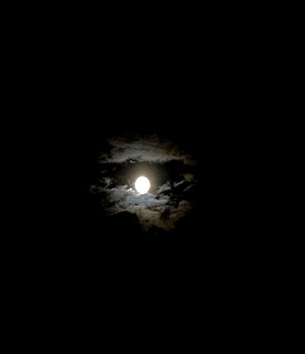 333eac instagram image archive image