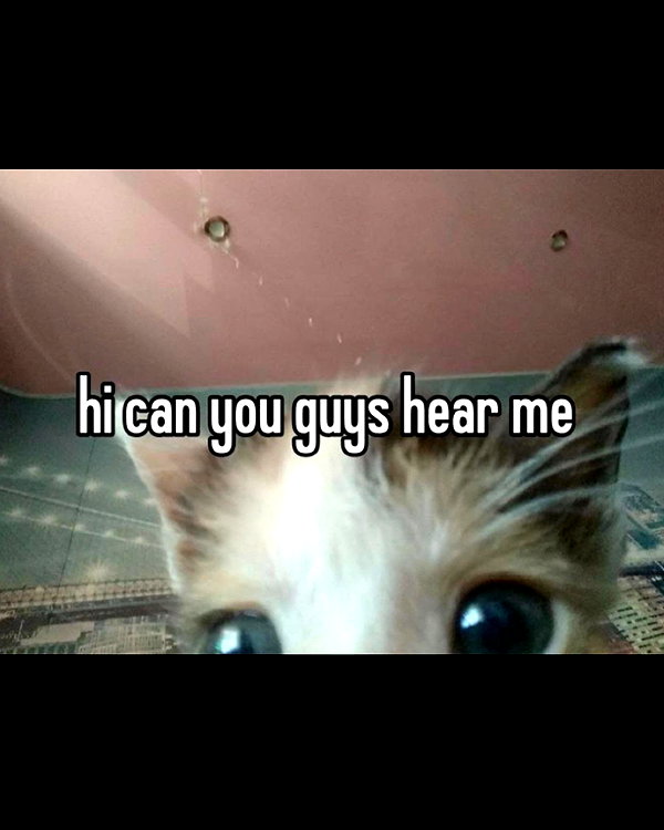 333eac instagram image archive image