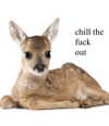 333eac Altpins Profile Picture