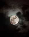 333eac Altpins Profile Picture