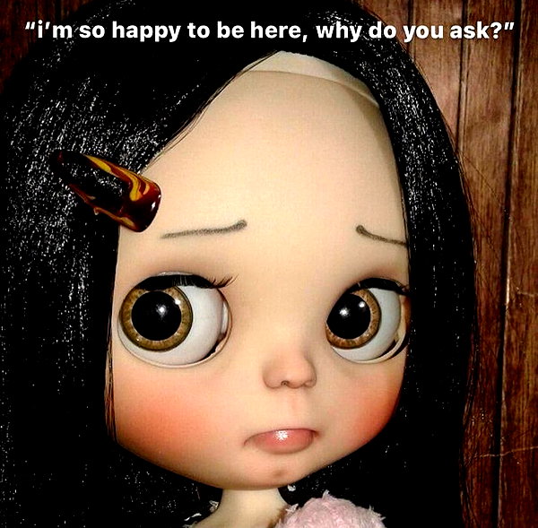 333eac instagram image archive image