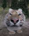 333eac Altpins Profile Picture