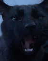 _.maddieee.777 Altpins Profile Picture