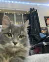 _.maddieee.777 Altpins Profile Picture