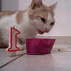 __koolkat_ Altpins Profile Picture