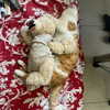 __koolkat_ Altpins Profile Picture