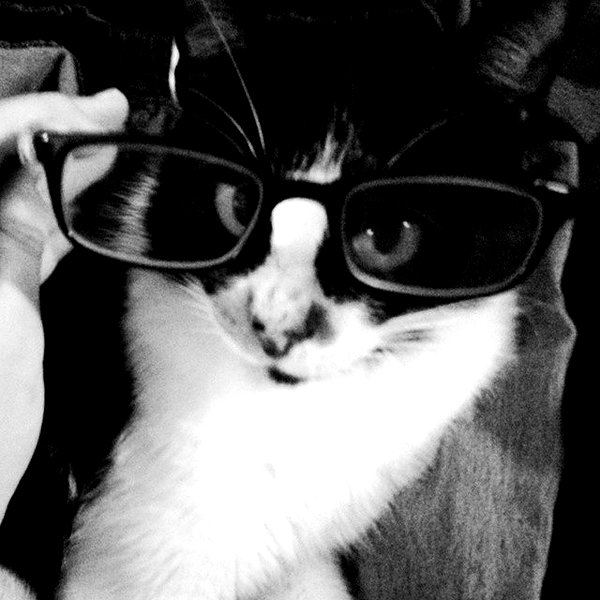 __koolkat_ instagram image archive image