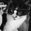 __koolkat_ Altpins Profile Picture