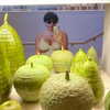 __noamche__ Altpins Profile Picture
