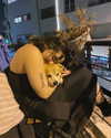 __noamche__ Altpins Profile Picture