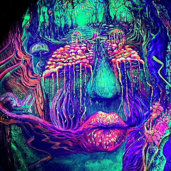 __noamche__ instagram image archive image