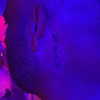 __noamche__ Altpins Profile Picture