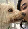 __noamche__ Altpins Profile Picture