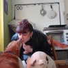 __noamche__ Altpins Profile Picture