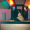 __yaheli_ Altpins Profile Picture