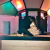 __yaheli_ Altpins Profile Picture