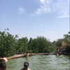 __yaheli_ Altpins Profile Picture