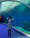 __yaheli_ Altpins Profile Picture
