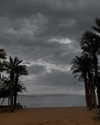 __yaheli_ Altpins Profile Picture