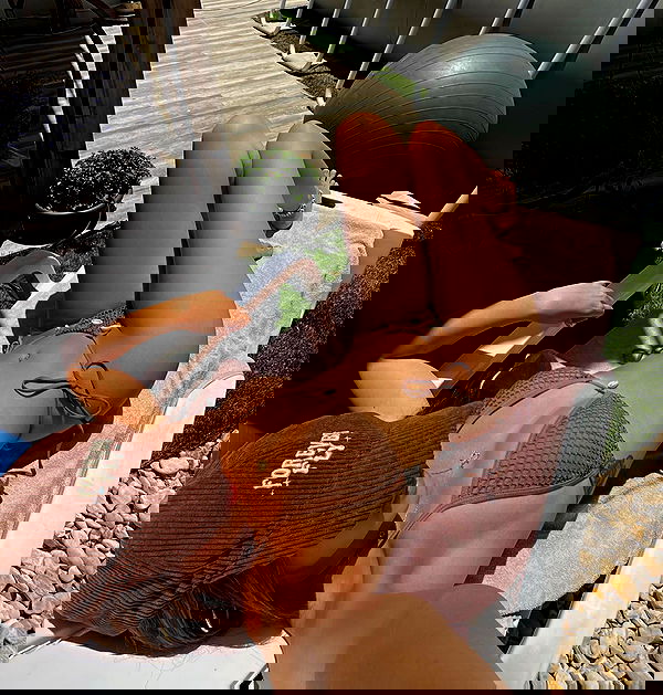 _adidahan image ~ Altpins