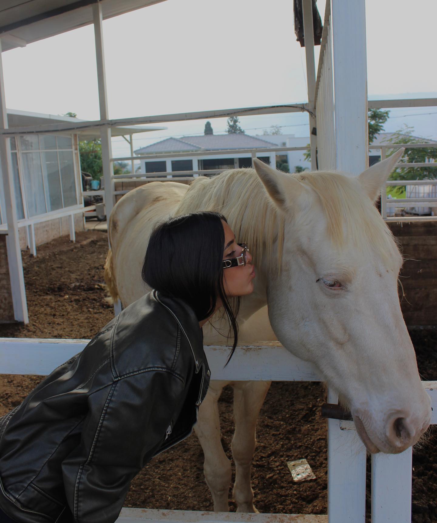 _adidahan instagram image archive image