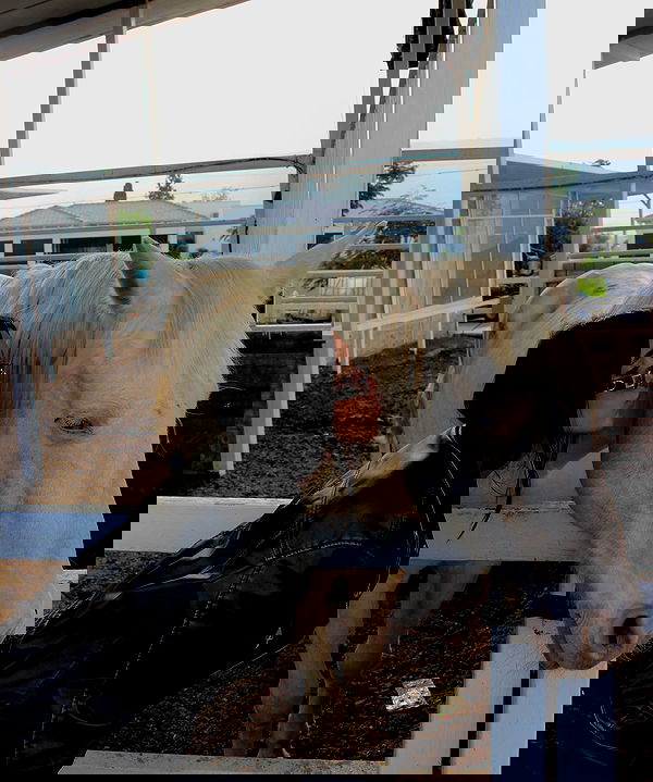 _adidahan image ~ Altpins