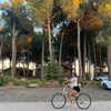 _ariel_lll Altpins Profile Picture