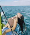 _ariel_lll Altpins Profile Picture