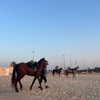 _ariel_lll Altpins Profile Picture