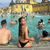 _ariel_lll Altpins Profile Picture