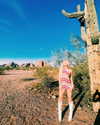_ashleeevangelinos_ Altpins Profile Picture