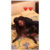 _cla._8 Altpins Profile Picture