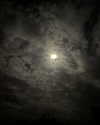 _cla._8 Altpins Profile Picture