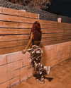 _lil_noa_ Altpins Profile Picture