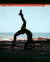 _linoysosan Altpins Profile Picture