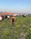 _lironatias Altpins Profile Picture