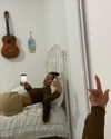 _lironatias Altpins Profile Picture