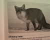 _lucycartwright Altpins Profile Picture
