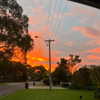 _lucycartwright Altpins Profile Picture