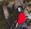 _mashachka_ Altpins Profile Picture