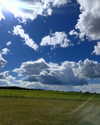 _maytiyn_ Altpins Profile Picture