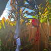 _michaelanee Altpins Profile Picture